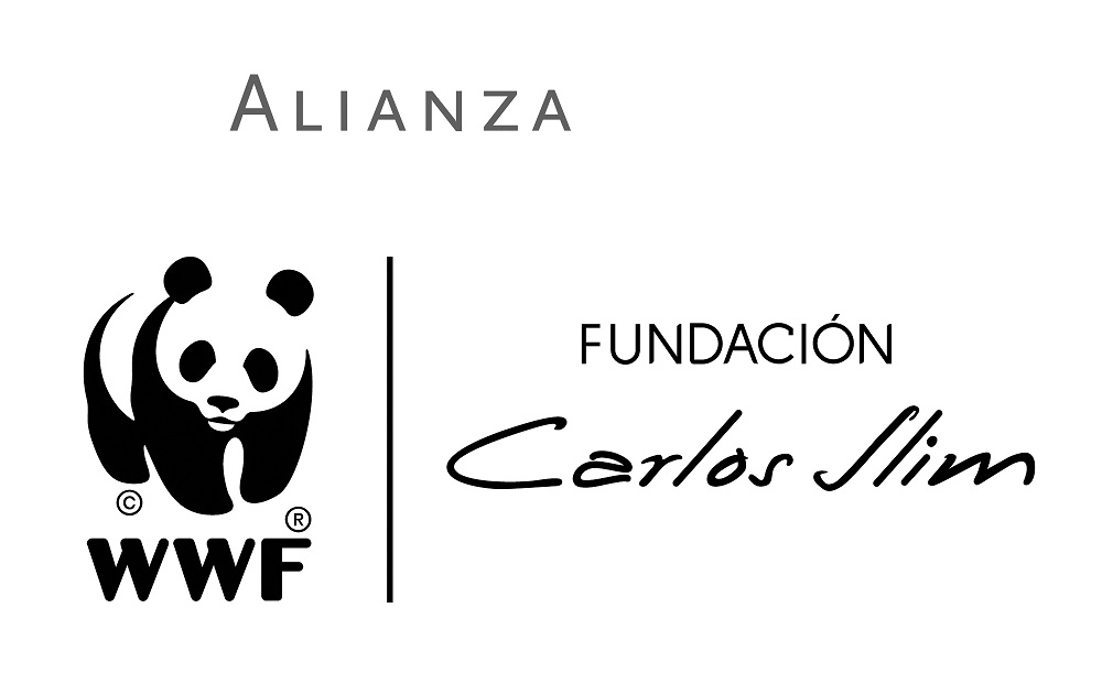 Alianza WWF - Fundación Carlos Slim